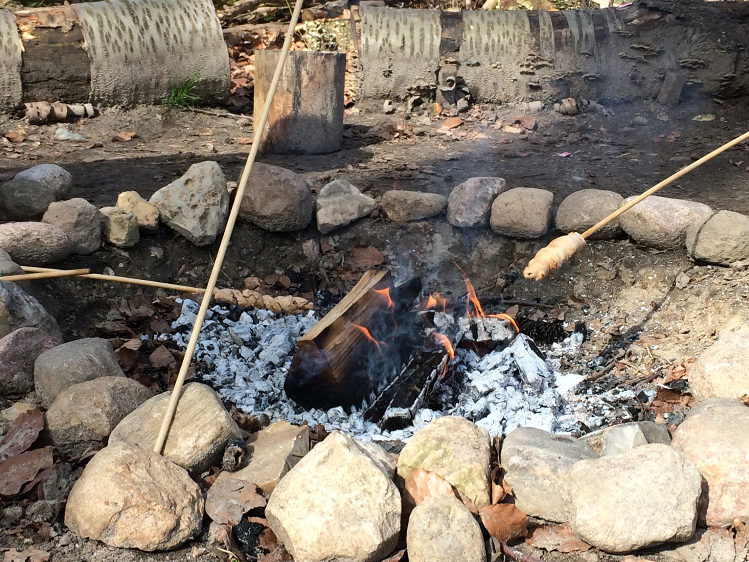 Der Grillplatz des Waldkindergarten Timmendorferstrand